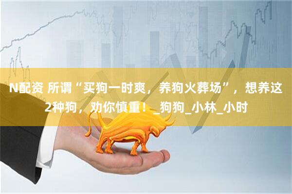 N配资 所谓“买狗一时爽，养狗火葬场”，想养这2种狗，劝你慎重！_狗狗_小林_小时