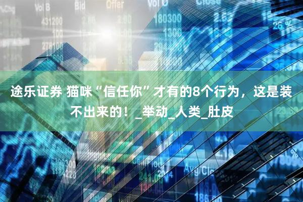 途乐证券 猫咪“信任你”才有的8个行为，这是装不出来的！_举动_人类_肚皮