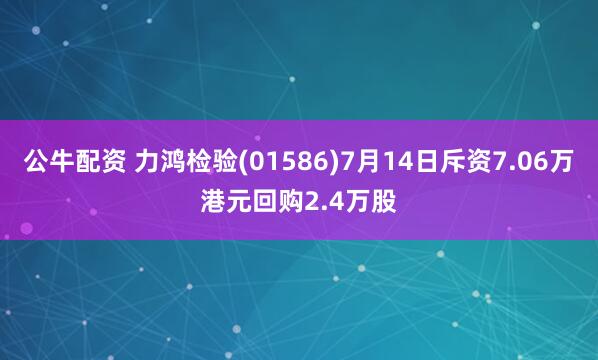 公牛配资 力鸿检验(01586)7月14日斥资7.06万港元回购2.4万股