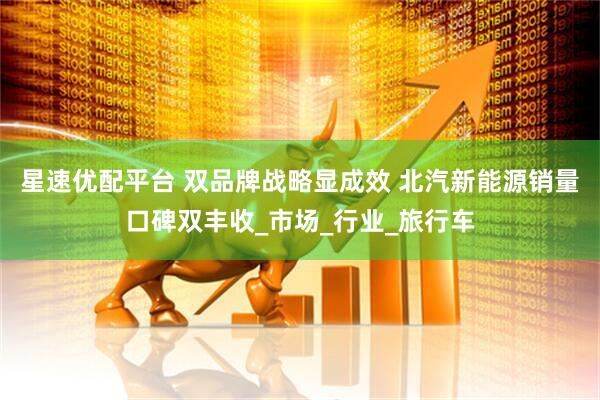 星速优配平台 双品牌战略显成效 北汽新能源销量口碑双丰收_市场_行业_旅行车