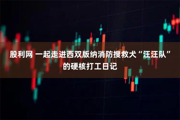 股利网 一起走进西双版纳消防搜救犬“汪汪队”的硬核打工日记