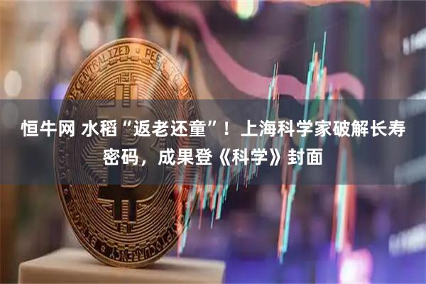 恒牛网 水稻“返老还童”！上海科学家破解长寿密码，成果登《科学》封面